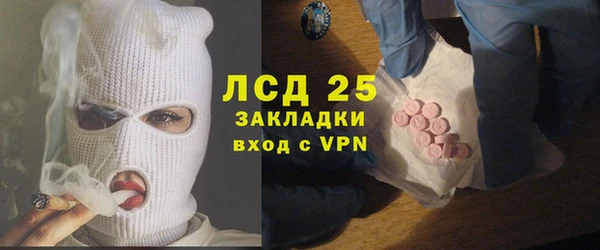 прущие грибы Тутаев