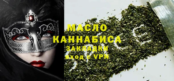 шишки Ельня