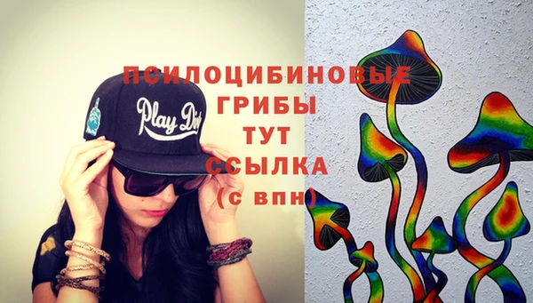 мдма Елизово