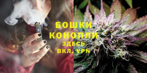 первитин Богородицк