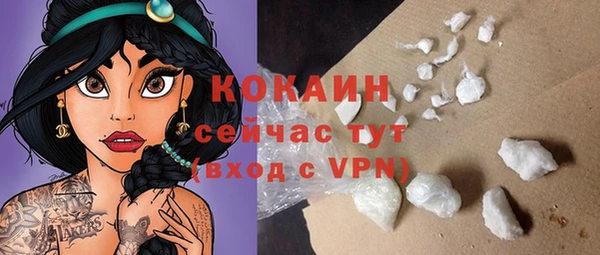 МДПВ Бородино